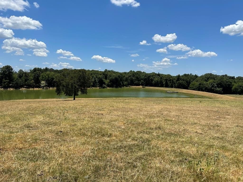 50.03 acres in Henderson County - photo 16
