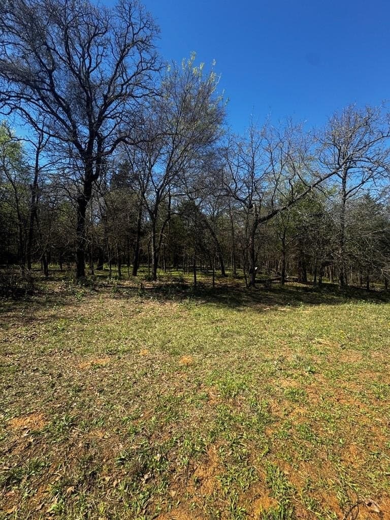 50.03 acres in Henderson County - photo 15