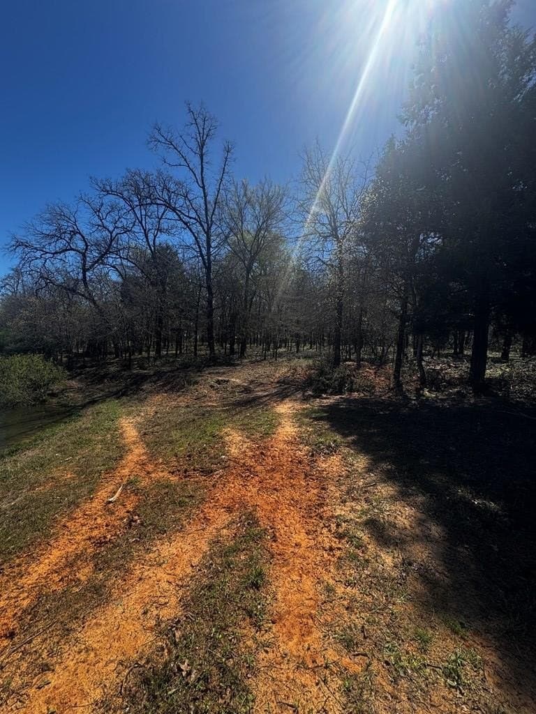 50.03 acres in Henderson County - photo 14