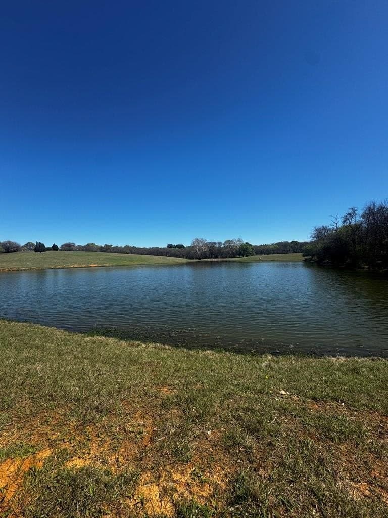 50.03 acres in Henderson County - photo 13
