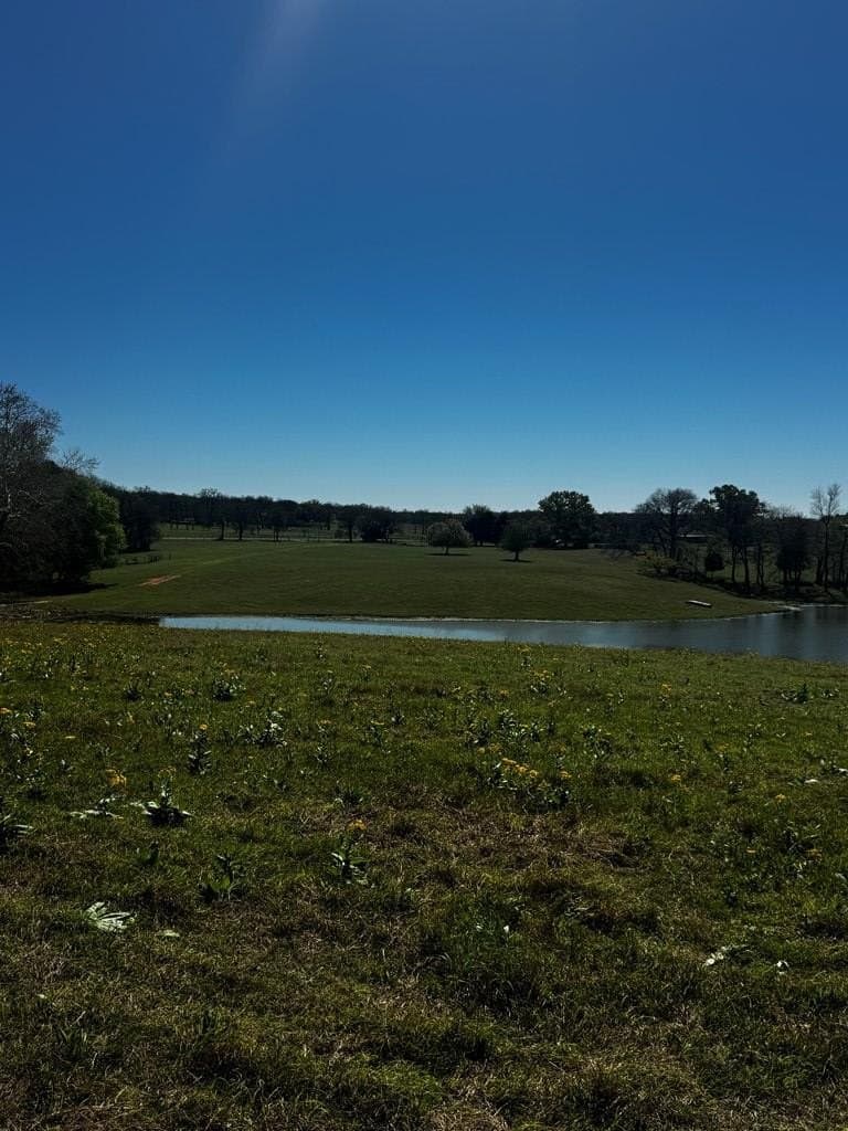 50.03 acres in Henderson County - photo 3