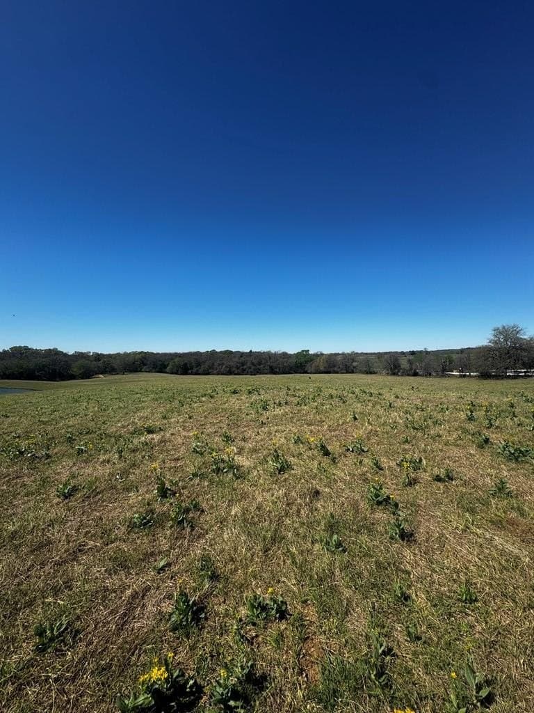 50.03 acres in Henderson County - photo 8
