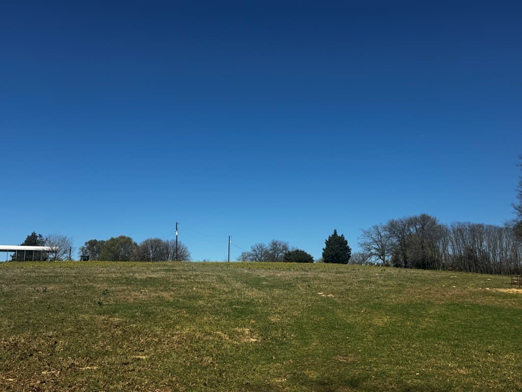 50.03 acres in Henderson County - photo 6