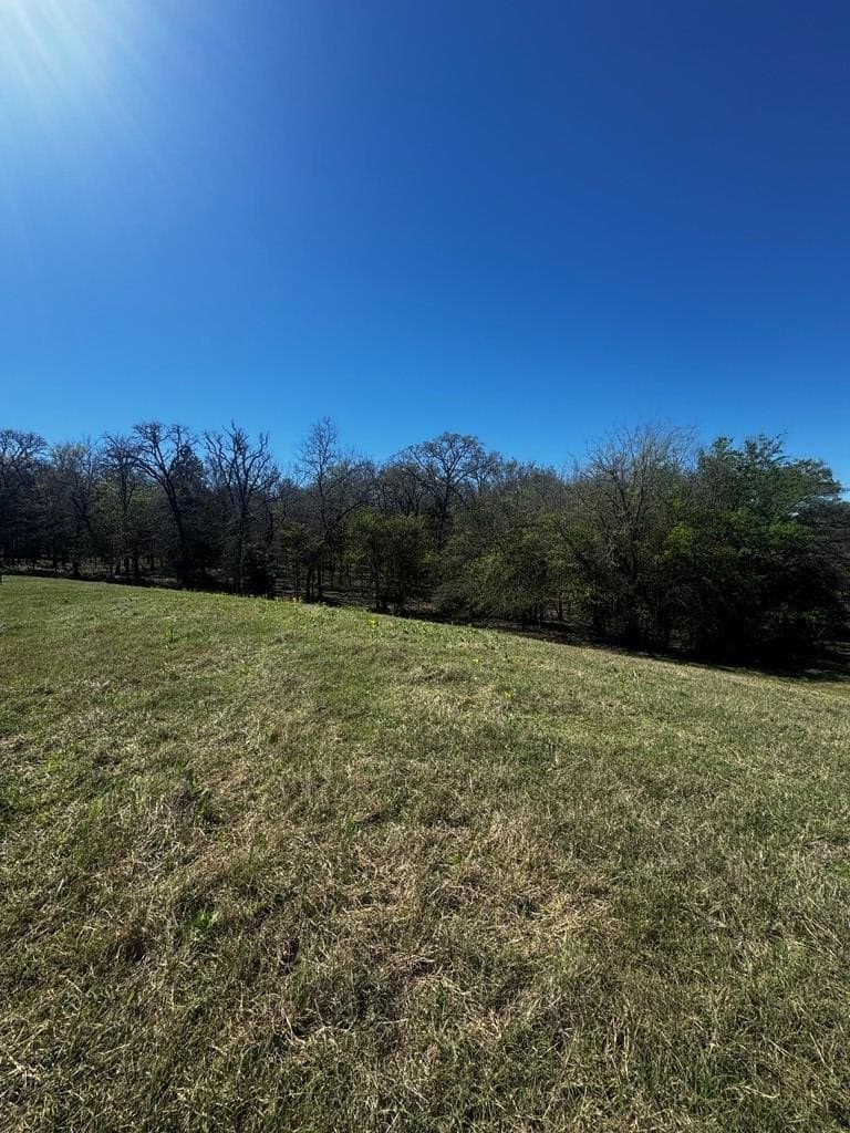 50.03 acres in Henderson County - photo 11