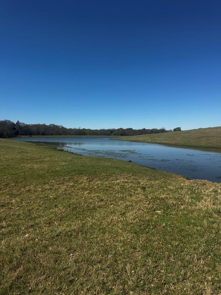 50.03 acres in Henderson County - photo 4