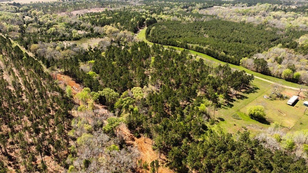 12.33 acres in ANDERSON County - photo 7