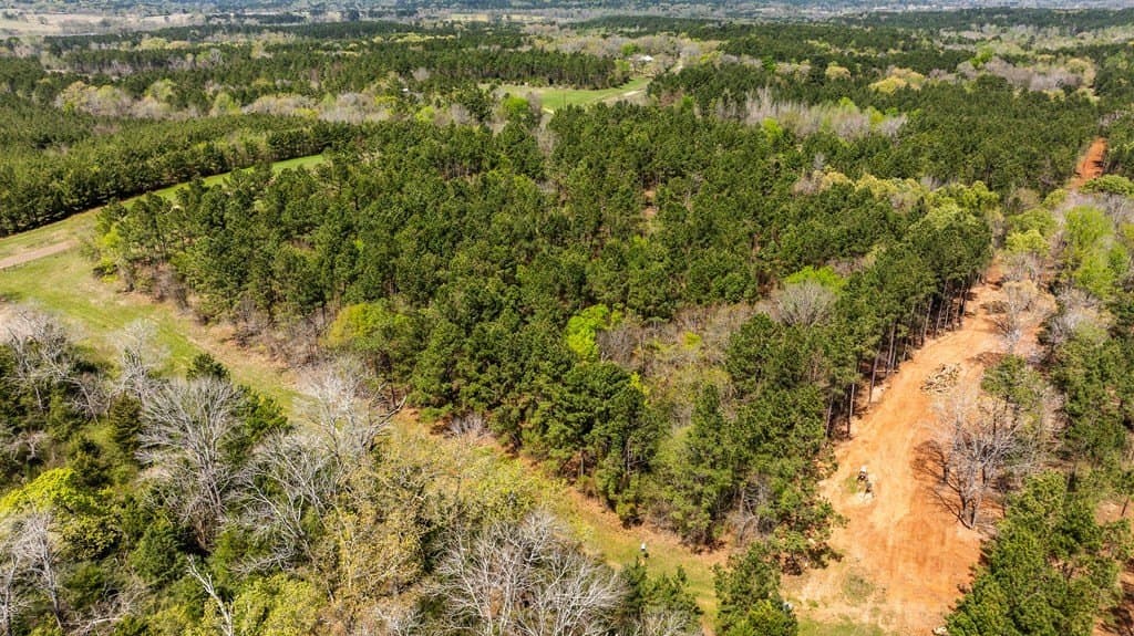 12.33 acres in ANDERSON County - photo 5