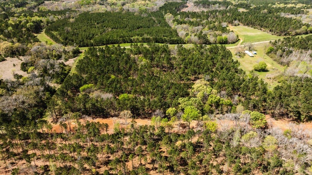 12.33 acres in ANDERSON County - photo 6