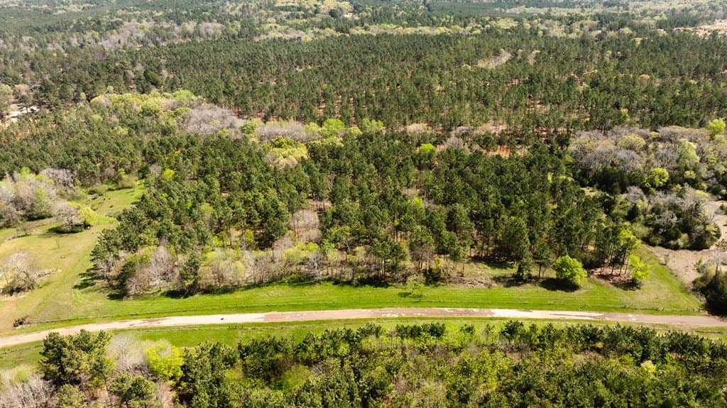 12.33 acres in ANDERSON County - photo 3