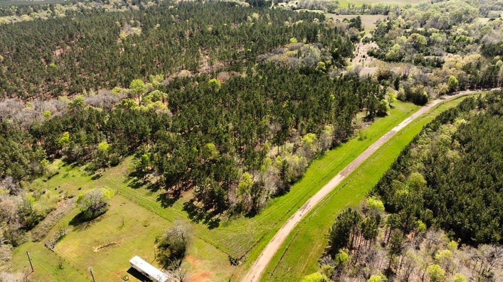 12.33 acres in ANDERSON County - photo 2
