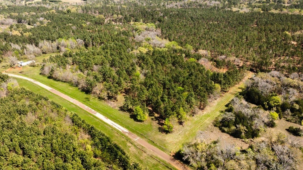 12.33 acres in ANDERSON County - photo 4
