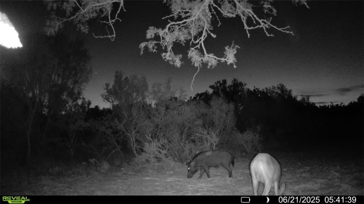 39.94 acres in La Salle County - photo 5