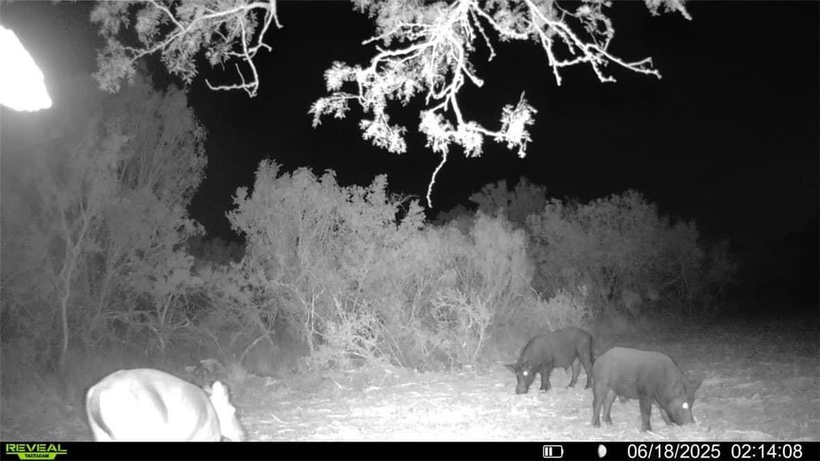 39.94 acres in La Salle County - photo 19