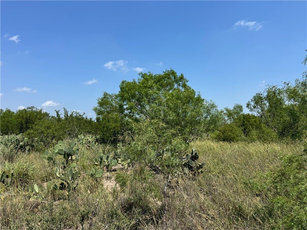 39.94 acres in La Salle County - photo 4