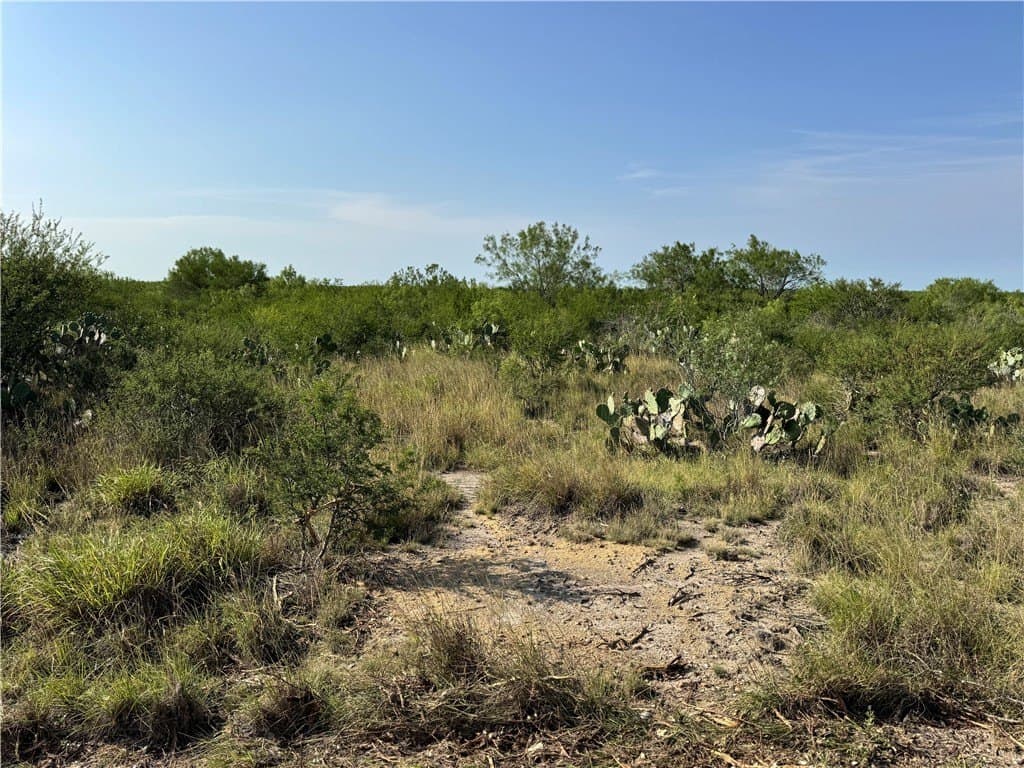 39.94 acres in La Salle County - photo 16