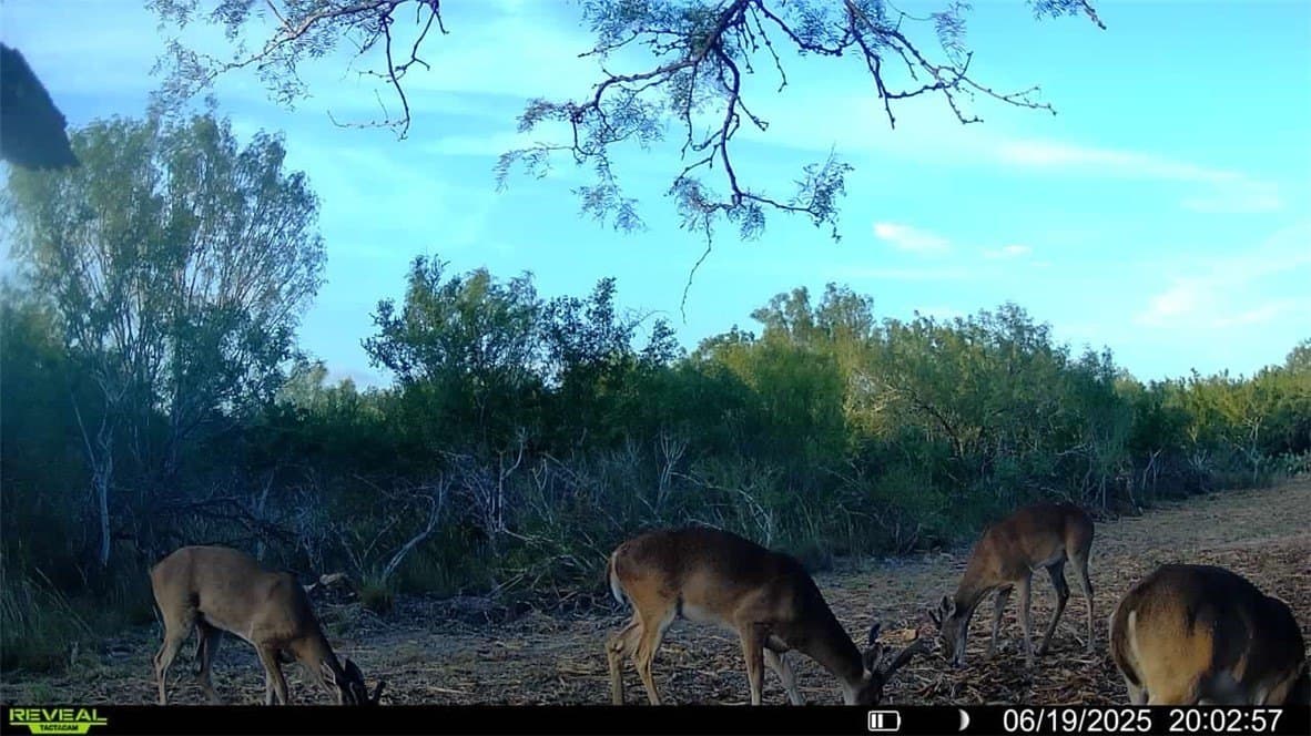 39.94 acres in La Salle County - photo 15
