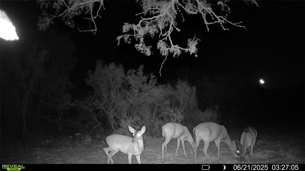39.94 acres in La Salle County - photo 3