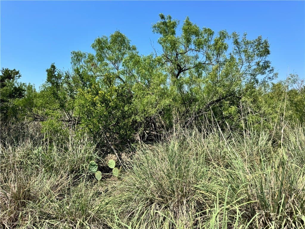 39.94 acres in La Salle County - photo 2