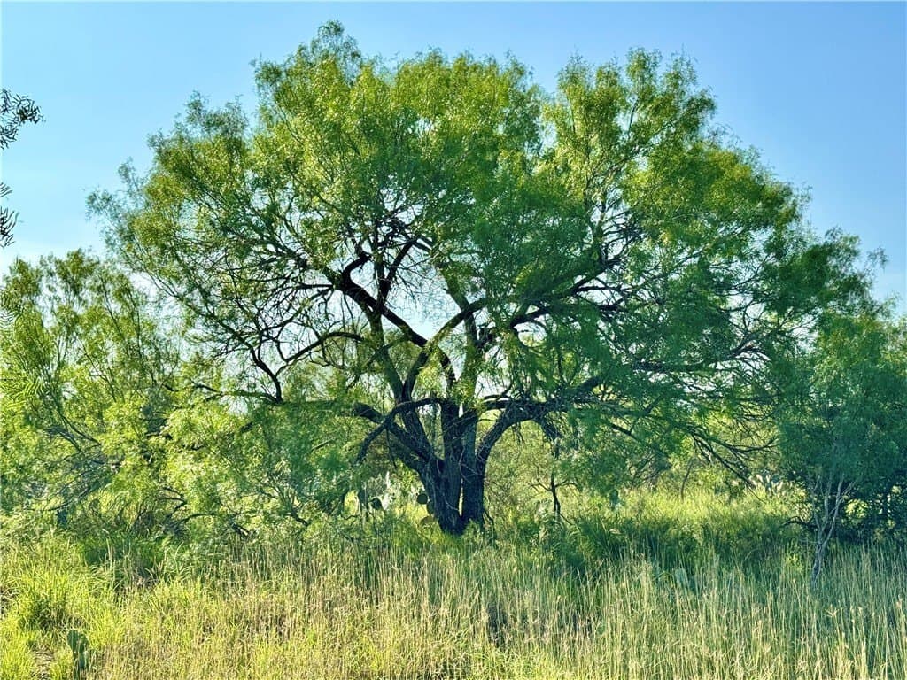 39.94 acres in La Salle County - photo 18