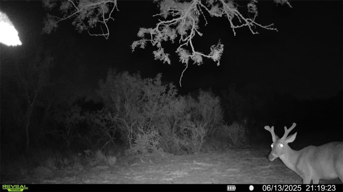 39.94 acres in La Salle County - photo 25
