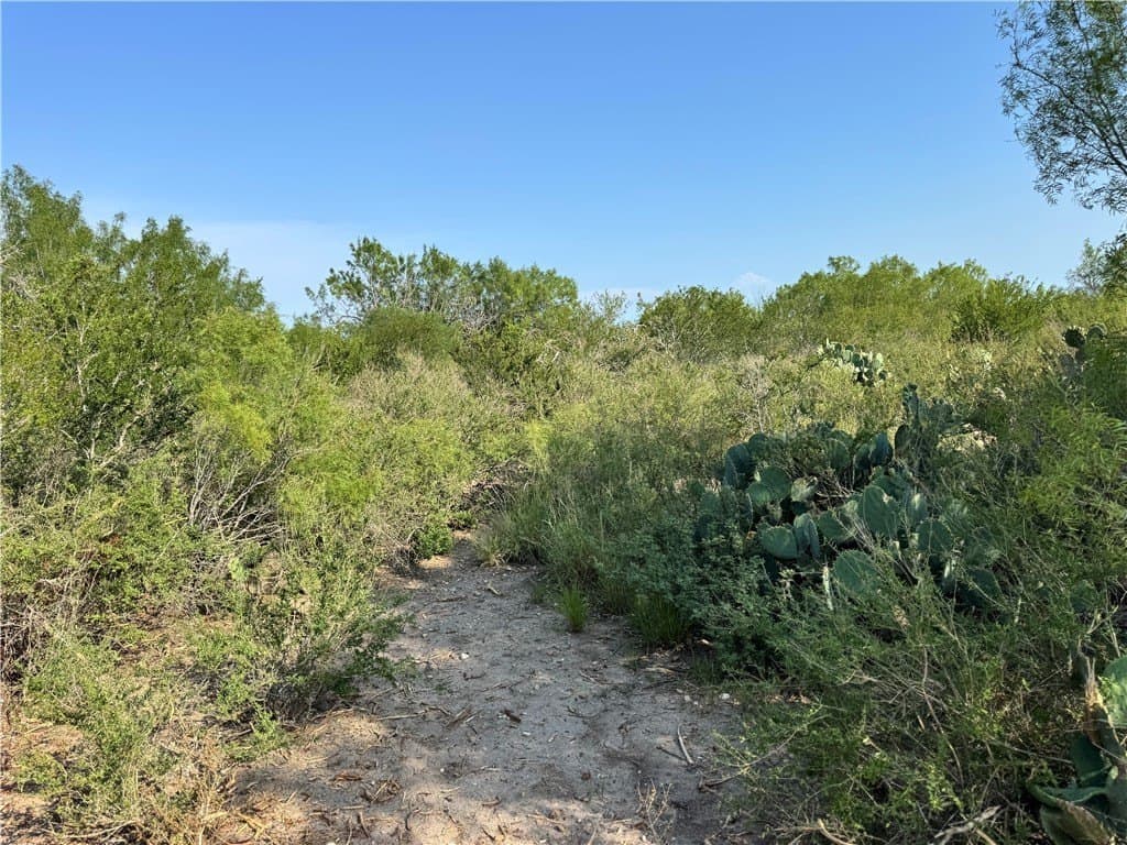 39.94 acres in La Salle County - photo 24