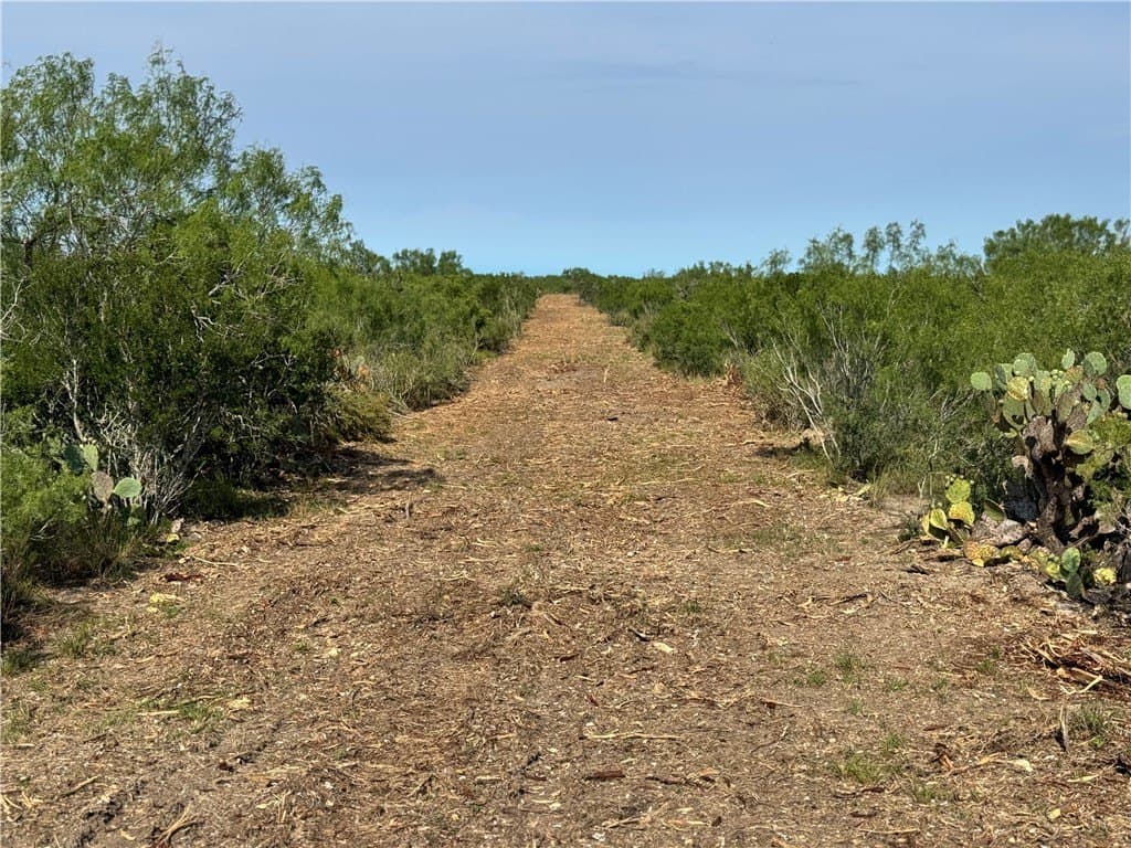 39.94 acres in La Salle County - photo 14
