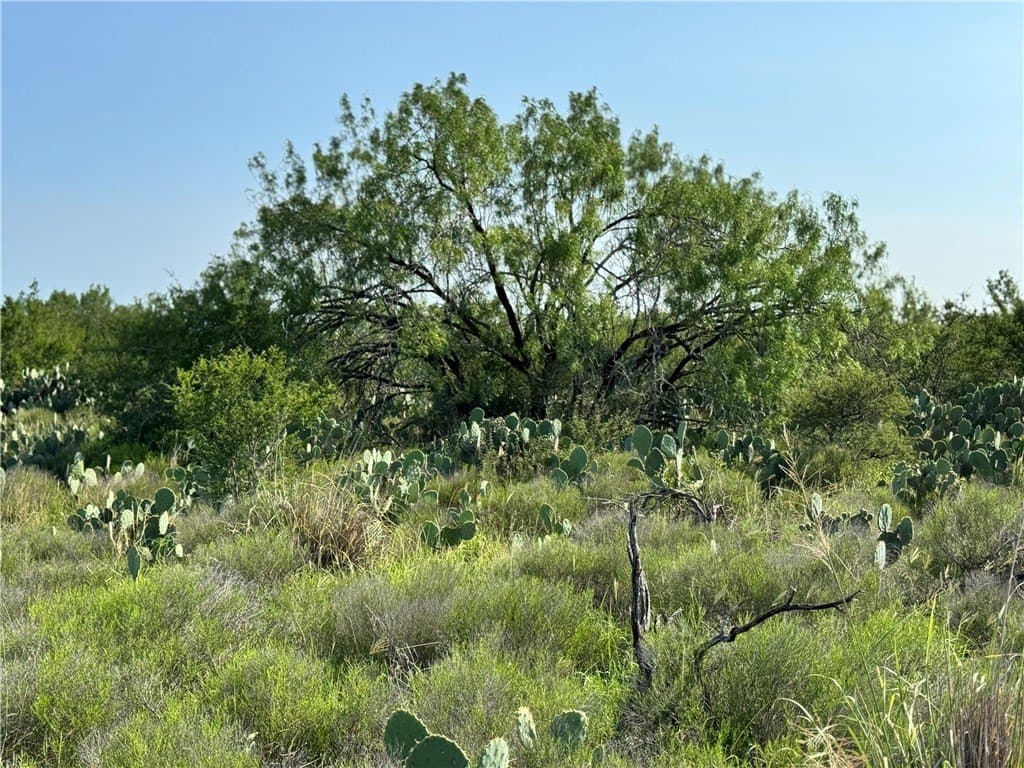 39.94 acres in La Salle County - photo 10