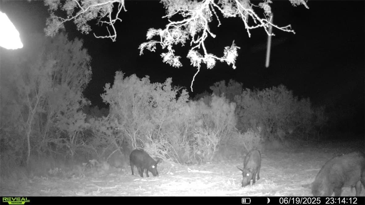 39.94 acres in La Salle County - photo 11