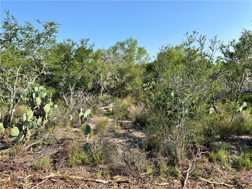 39.94 acres in La Salle County - photo 22