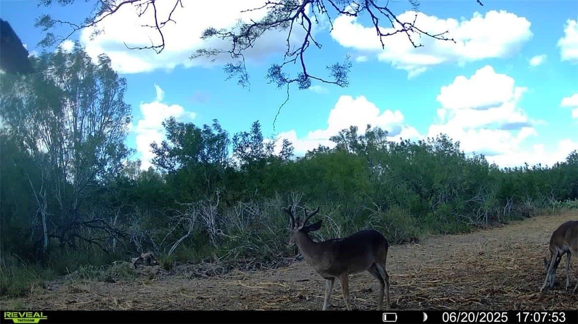 39.94 acres in La Salle County - photo 13
