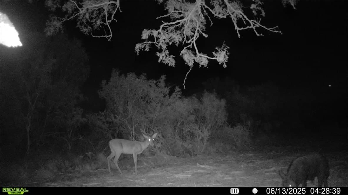 39.94 acres in La Salle County - photo 28
