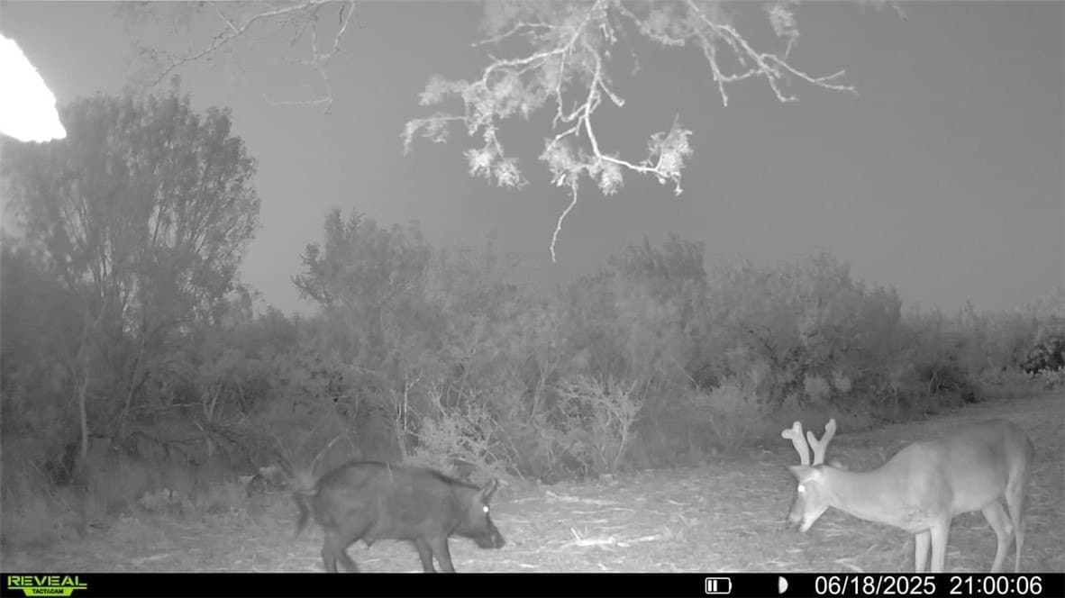 39.94 acres in La Salle County - photo 17