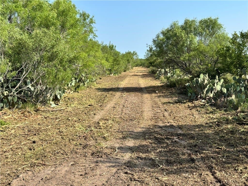 39.94 acres in La Salle County - photo 12