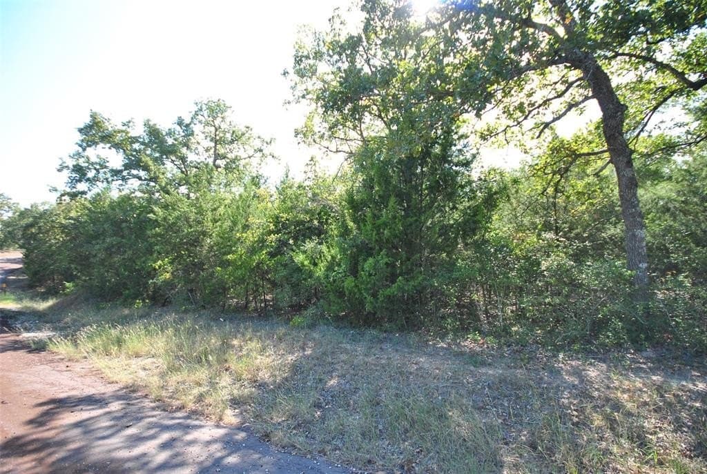 0.42 acres in Limestone County - photo 5