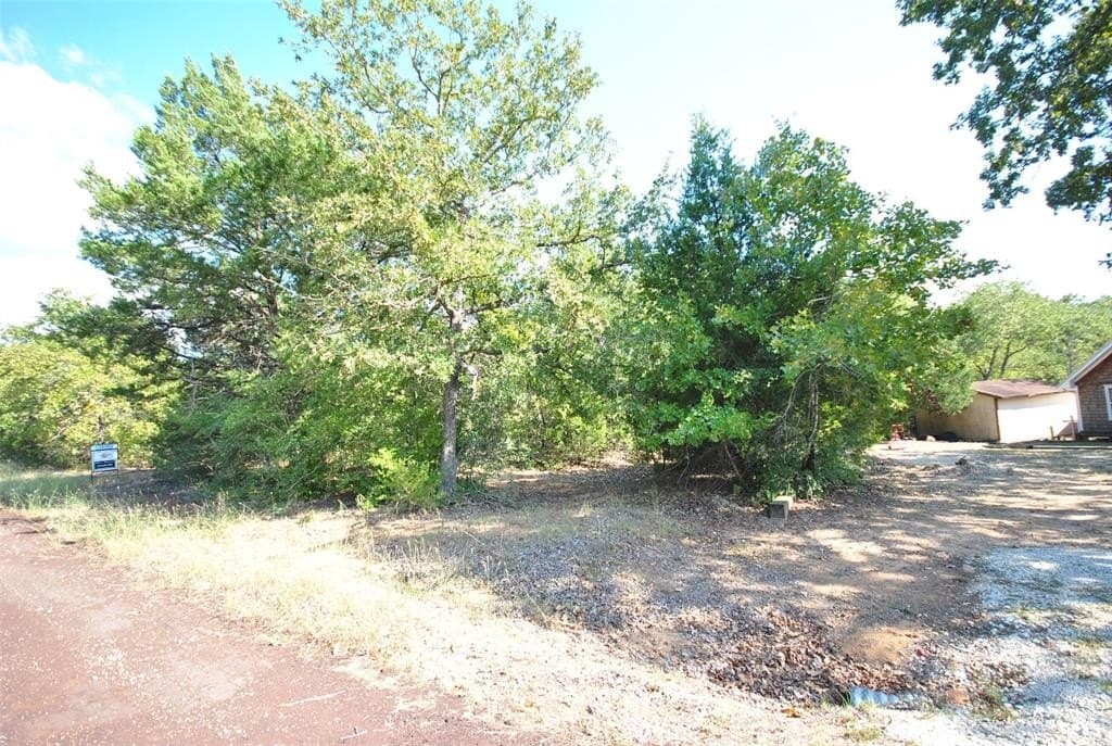 0.42 acres in Limestone County - photo 8