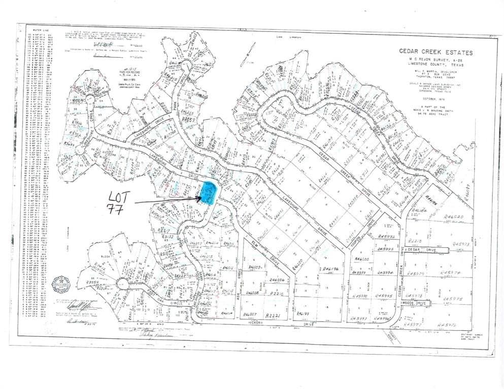 0.42 acres in Limestone County - photo 9