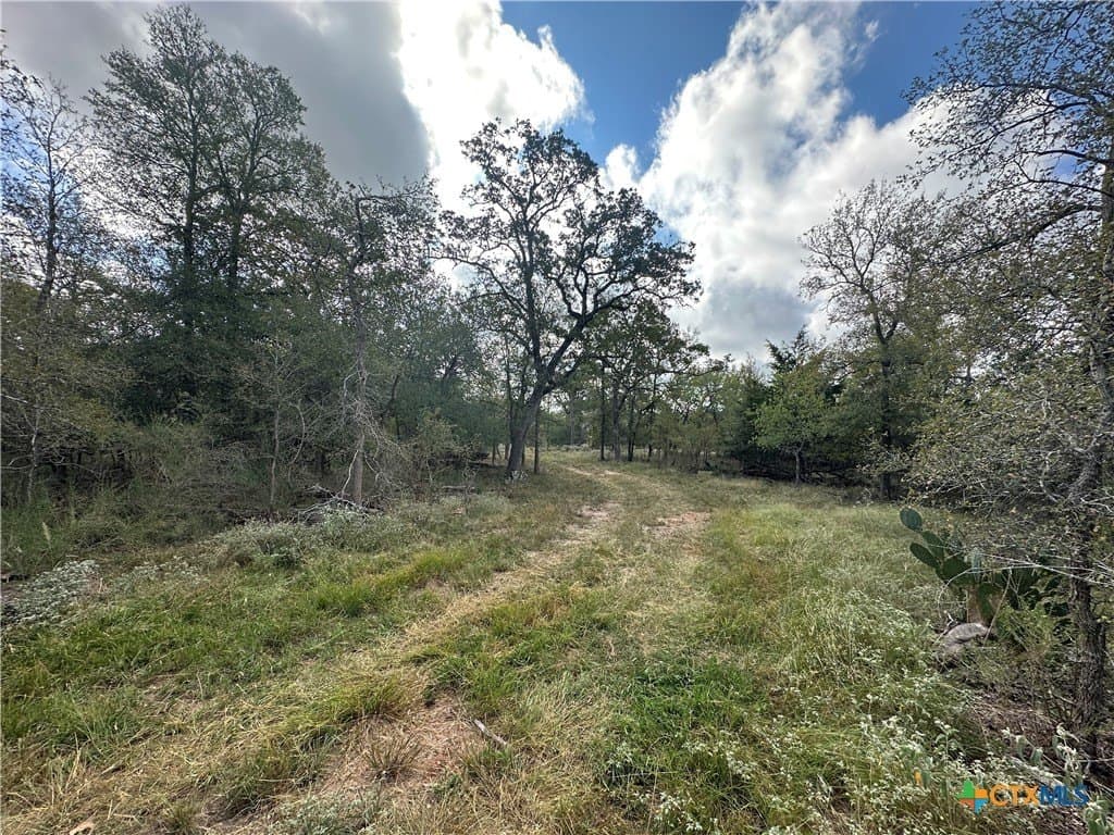 21.07 acres in Caldwell County - photo 15