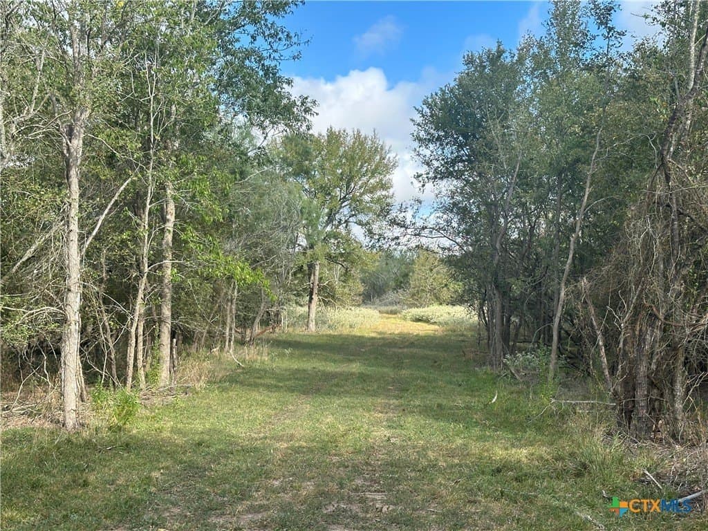 21.07 acres in Caldwell County - photo 4