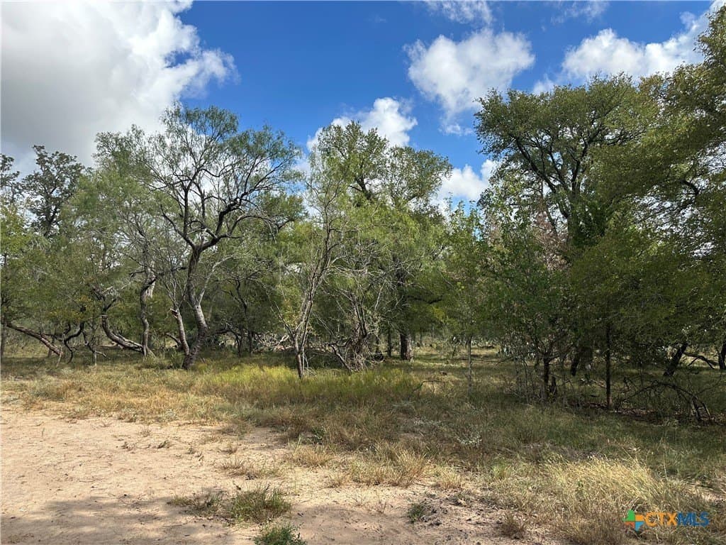 21.07 acres in Caldwell County - photo 13