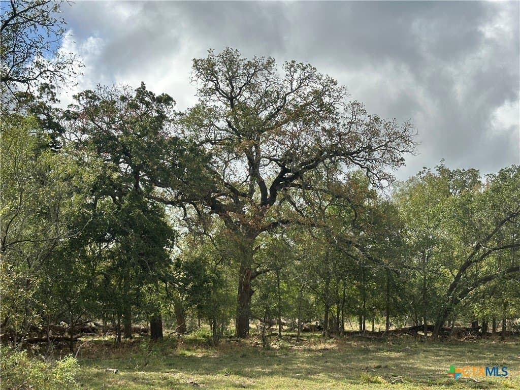 21.07 acres in Caldwell County - photo 8