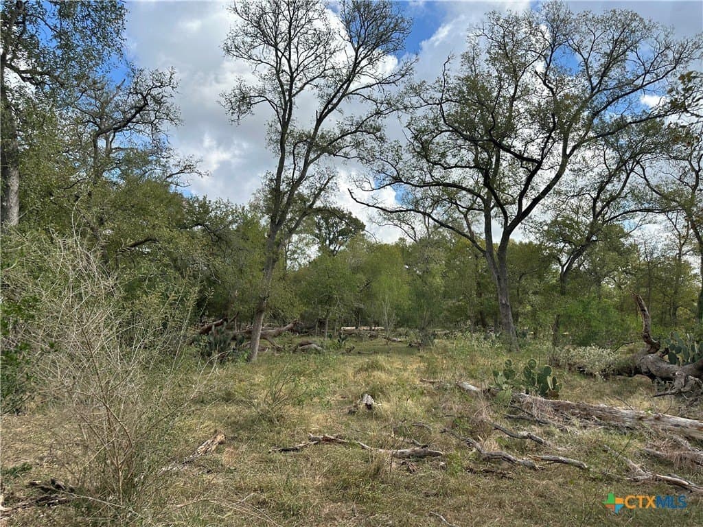 21.07 acres in Caldwell County - photo 12