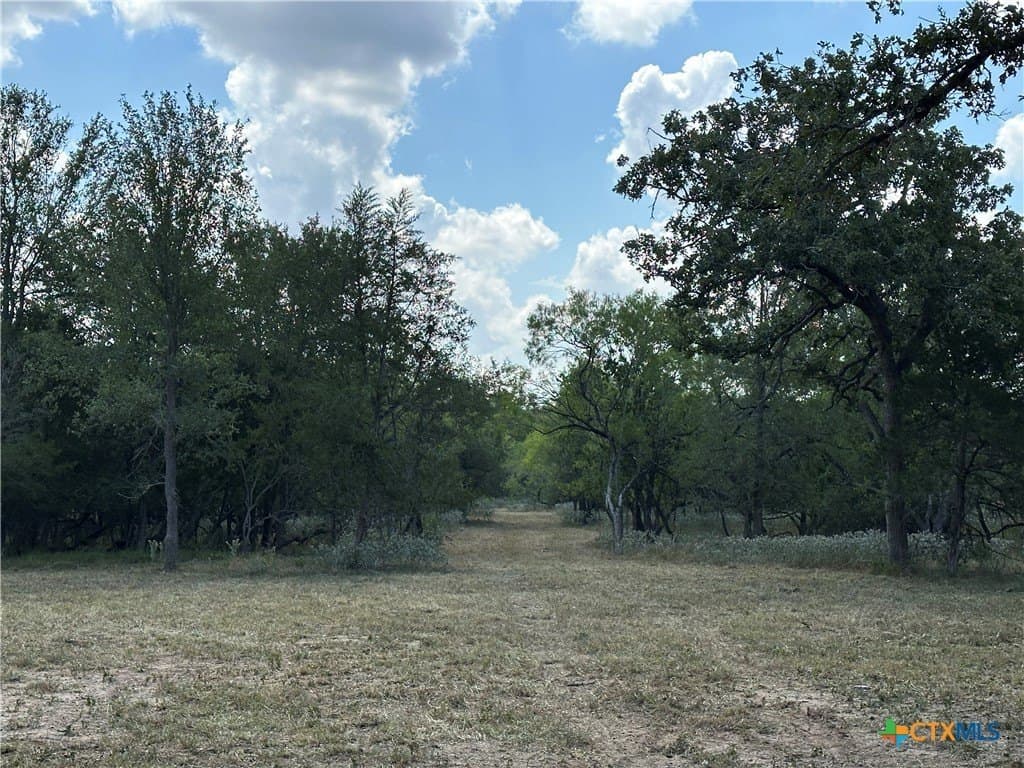 21.07 acres in Caldwell County - photo 3