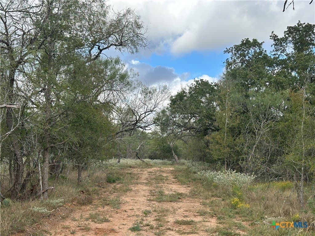 21.07 acres in Caldwell County - photo 10