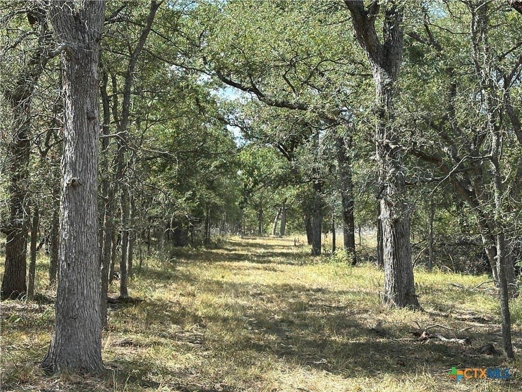 21.07 acres in Caldwell County - photo 5