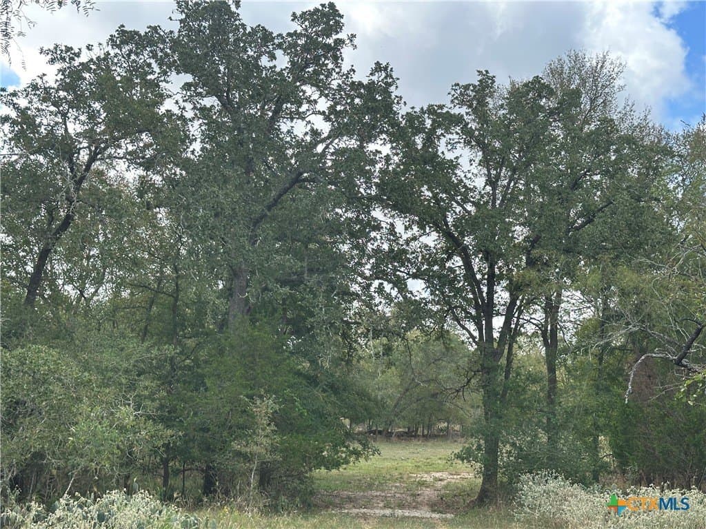 21.07 acres in Caldwell County - photo 11