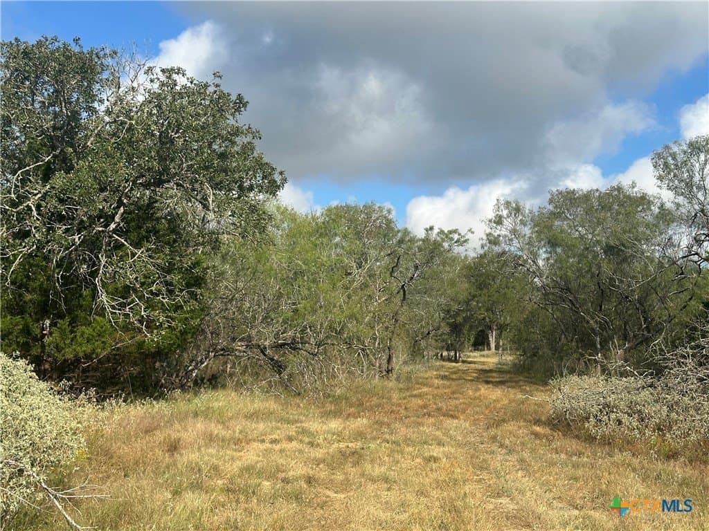 21.07 acres in Caldwell County - photo 9