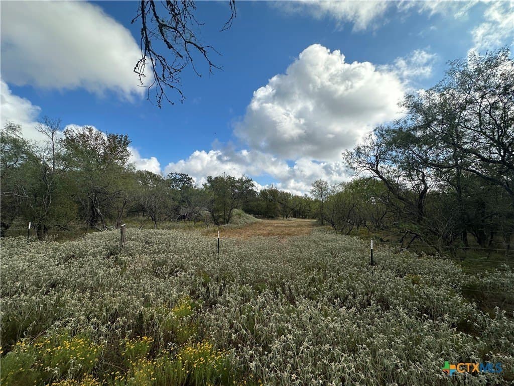 21.07 acres in Caldwell County - photo 19