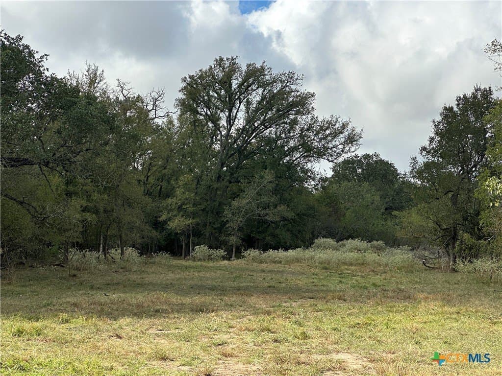 21.07 acres in Caldwell County - photo 17