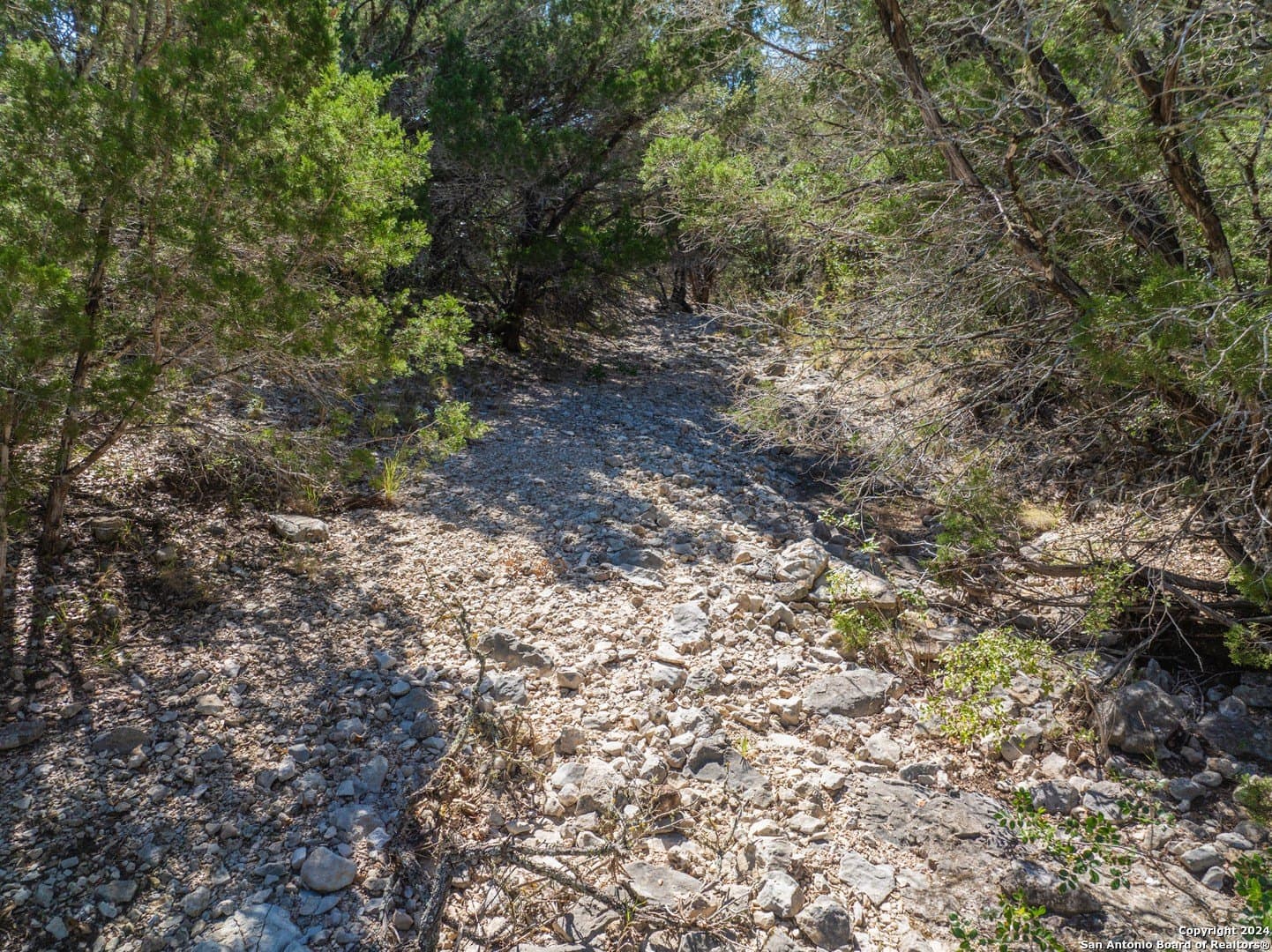 20.3 acres in Kinney County - photo 17