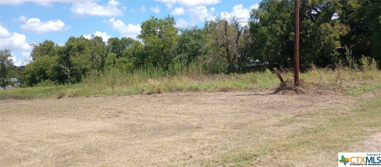 1.1 acres in Milam County - photo 8